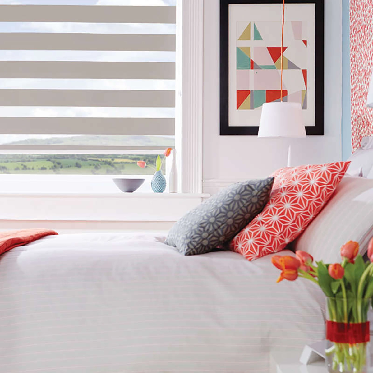 Day and Night Blinds